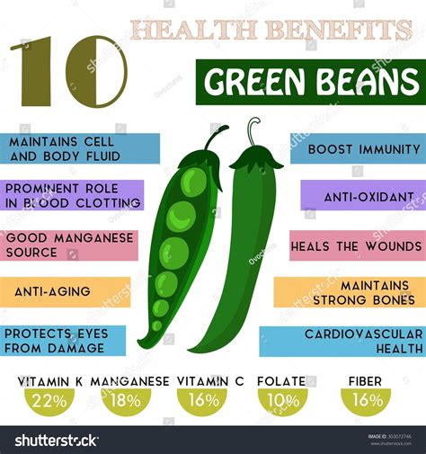 10 Health Benefits Information Of Green Beans. Nutrients Infographic, Vector Illustration ...