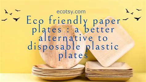 What are Eco friendly paper plates and why use them? - Ecotsy