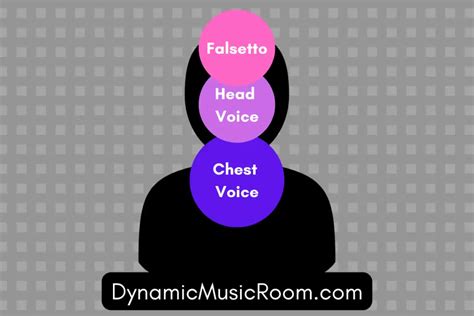 Falsetto vs Head Voice: What’s The Difference? - Singers Edge