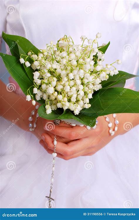 Lily of the Valley Bunch for the First Holly Communion Stock Photo - Image of holy, beautiful ...