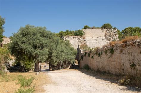 Premium Photo | Ancient noto are the remains of original town distroyed ...