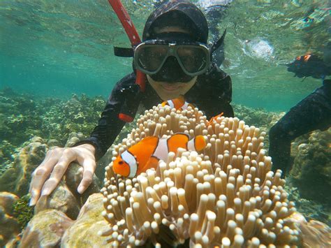 Destinasi Pulau Pahawang Lampung Snorkeling Terbaik di Lampung