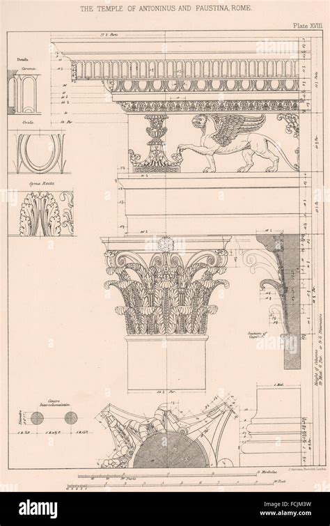 CLASSICAL ARCHITECTURE: The Temple of Antoninus and Faustina, Rome, print 1902 Stock Photo - Alamy