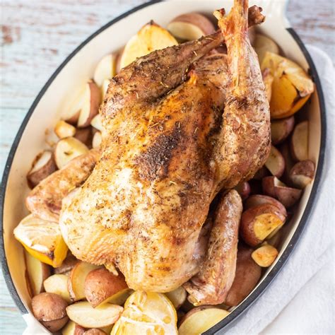 Roasted Pheasant: An Easy Pheasant Dinner For Any Occasion