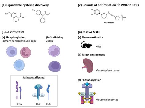 Selective inhibitors of JAK1 targeting a subtype-restricted allosteric cysteine - preLights