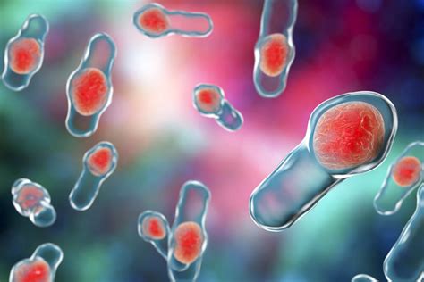 CLOSTRIDIUM DIFFICILE COLITIS