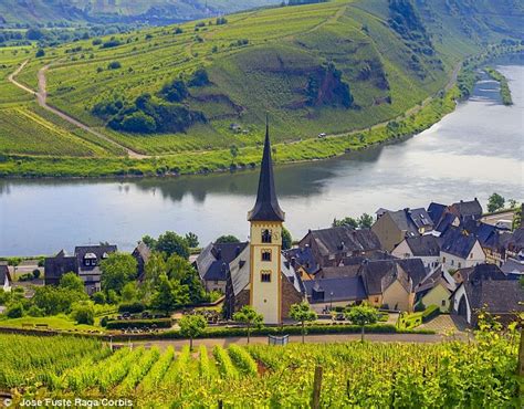 Rieslings to be cheerful: A marvellous meander up Germany¿s Mosel Valley in search of fine wine ...