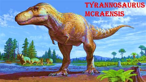 Tyrannosaurus mcraensis the new Tyrannosaurus species - YouTube