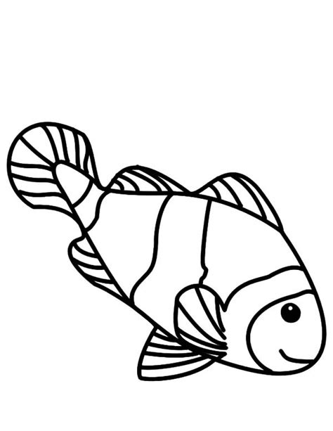 Clown Fish Drawing at GetDrawings | Free download