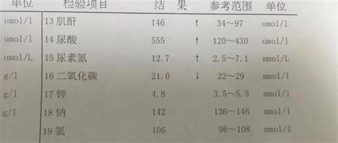 肾移植术后血肌酐升高及如何处理?_再造人