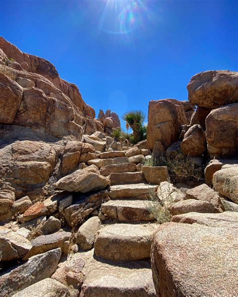 Hidden Valley Trail, Joshua Tree National Park : r/NationalPark