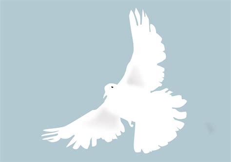 What does the Dove symbolize in the Bible? - Christian Faith Guide