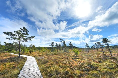 Durch das Schwarze Moor | Biosphärenreservat Rhön