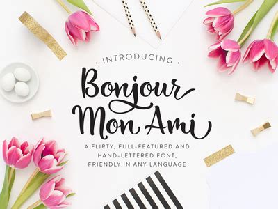 Bonjour Mon Ami by Laura Bolter - Dribbble