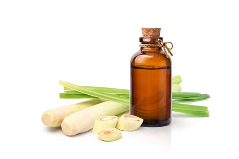 Lemongrass Essential Oil – Everything You Need to Know - Viva Doria