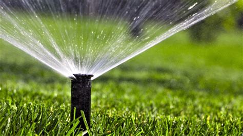 How Efficient is Your Irrigation System?