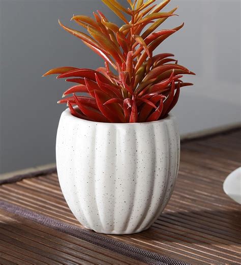 Buy White Ceramic Pumkin Shaped Flower Pot by Cdi Online - Desk Pots - Pots & Planters - Home ...