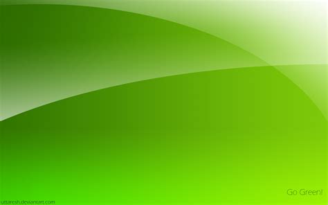 Green Color Background Wallpaper (56+ images)