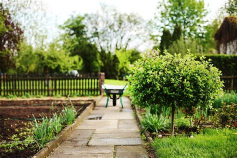 Save money with an allotment garden - live-native.com