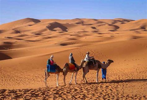 Morocco: My Thrilling Sahara Desert Camp & Camel Ride on the Dunes ...