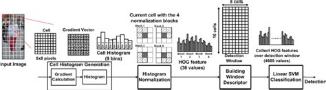 Object detection algorithm using HOG features. | Download Scientific ...