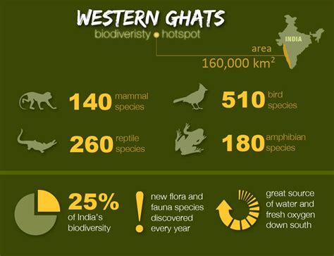 December 2013 ~ Flora and Fauna of western Ghat