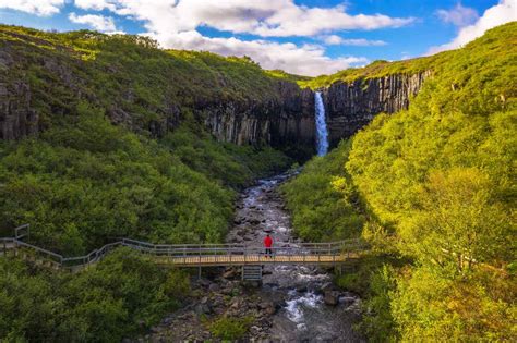 The Ultimate Guide to Svartifoss Waterfall in Iceland