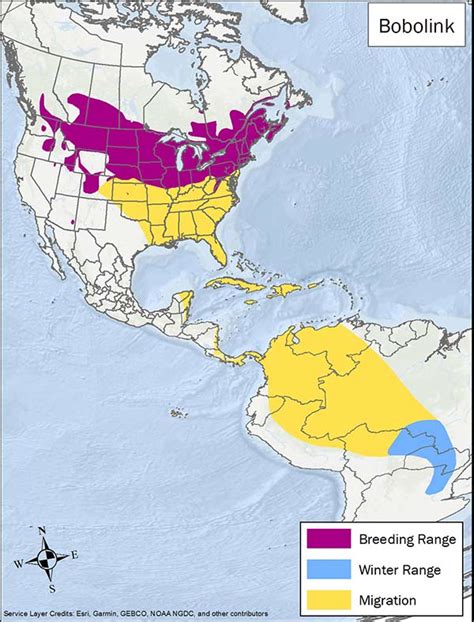 Bobolink Habitat & Management Information - LandPKS