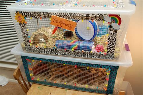 12 DIY Hamster Cage Projects to Completely Transform Your Pet’s Home