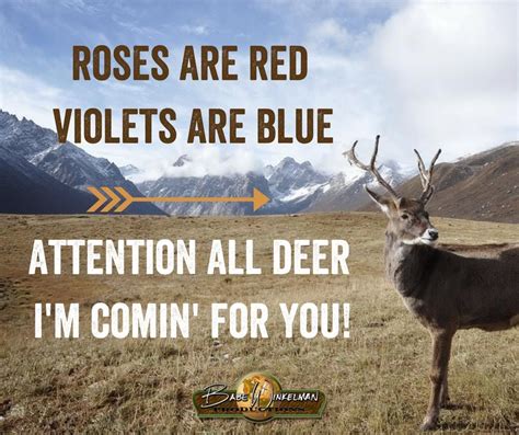 Funny Deer Hunting Quotes And Sayings - ShortQuotes.cc