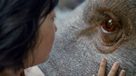 Okja Review: You'll Fall in Love with This CGI Super Pig | Collider