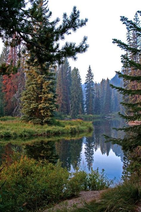 Ponderosa State Park,McCall, Idaho, USA. | State parks, Landscape ...