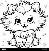 Fluffy Cat coloring Pages Stock Vector Images  Alamy sketch template