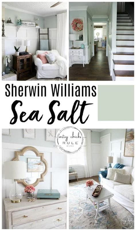 Sherwin Williams Sea Salt Paint Bedroom | Psoriasisguru.com