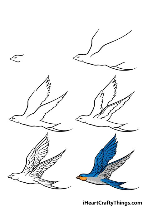 How to Draw A Flying Bird – A Step by Step Guide | Flying bird drawing ...