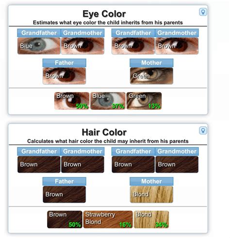 hair genetics chart - hiccups pregnancy