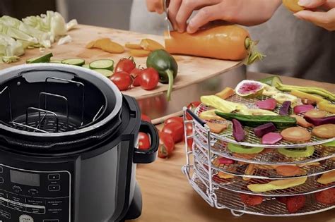 5 Best Dehydrator Racks For Your Ninja Foodi Or Instant Pot - Perform Wireless