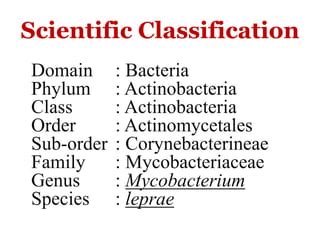 Mycobacterium leprey | PPT