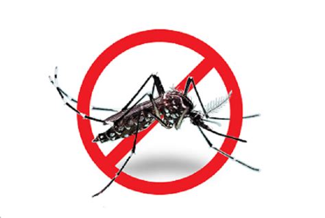 Bangladesh reports 14 more dengue cases