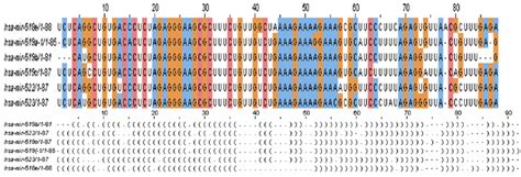 Multiple sequence alignment, performed by ClustalW [31] and visualized... | Download Scientific ...