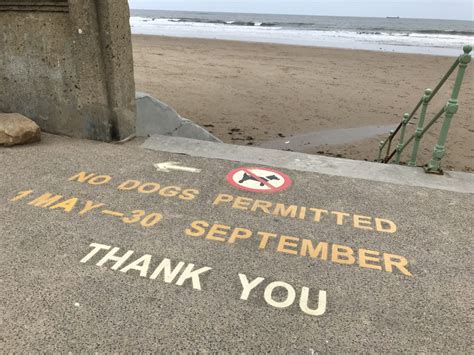 Keep Sunderland Beaches Clean: Dog Exclusion Zones Back in Effect - Sunderland Magazine ...