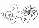 Cranberry Coloring Pages Printable For Free Download sketch template