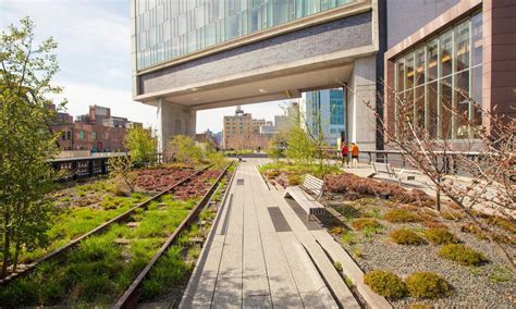 The High Line Park NYC | The Public Park in the Sky