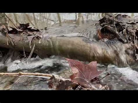 Waterfall II - YouTube