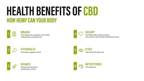 Benefits of CBD for your body, white poster with infographic. Health benefits of Cannabidiol CBD ...