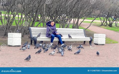 Feeding Pigeons in park editorial image. Image of plantation - 112487550