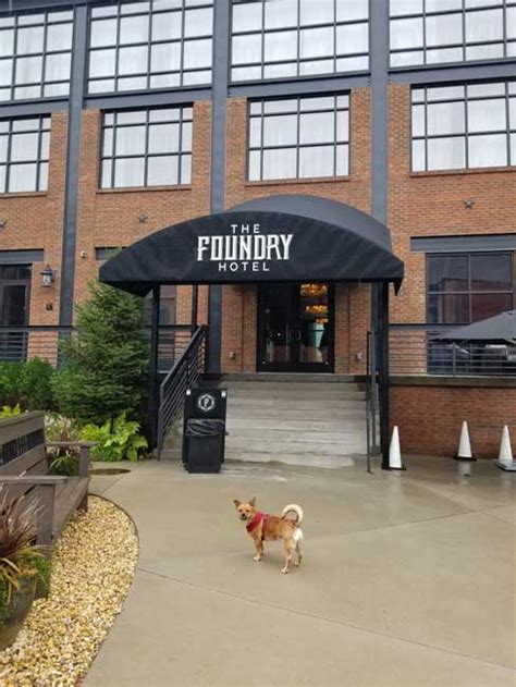 Best Pet Friendly Hotels - Foundry Hotel Asheville, Curio Collection By ...