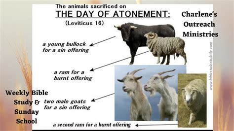 The Day of Atonement. Leviticus 16: 1-16. Sunday's, Sunday School Bible Study. - YouTube