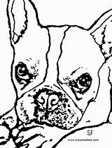 Boston Terrier Coloring Pages Printable A Fun Activity For Dog Lovers sketch template