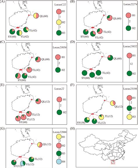 Maps of the haplotype distribution and haplotype networks of the seven... | Download Scientific ...